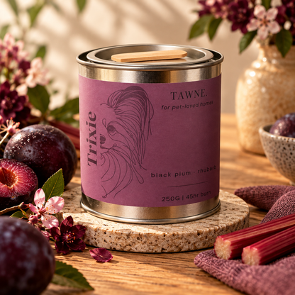 A tin Trixie Tawne pet safe candle, labeled 'black plum - rhubarb', styled on a wooden table with plums, rhubarb stalks, and flowers.