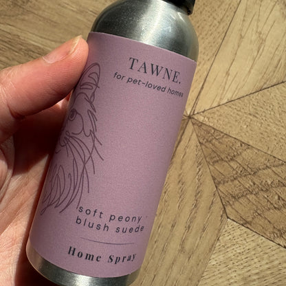 Bella · Soft Peony & Blush Suede Home Spray